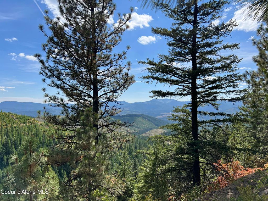 Photo of 1425 Upriver View View, Fernwood, ID 83830 (MLS # 26-4198)