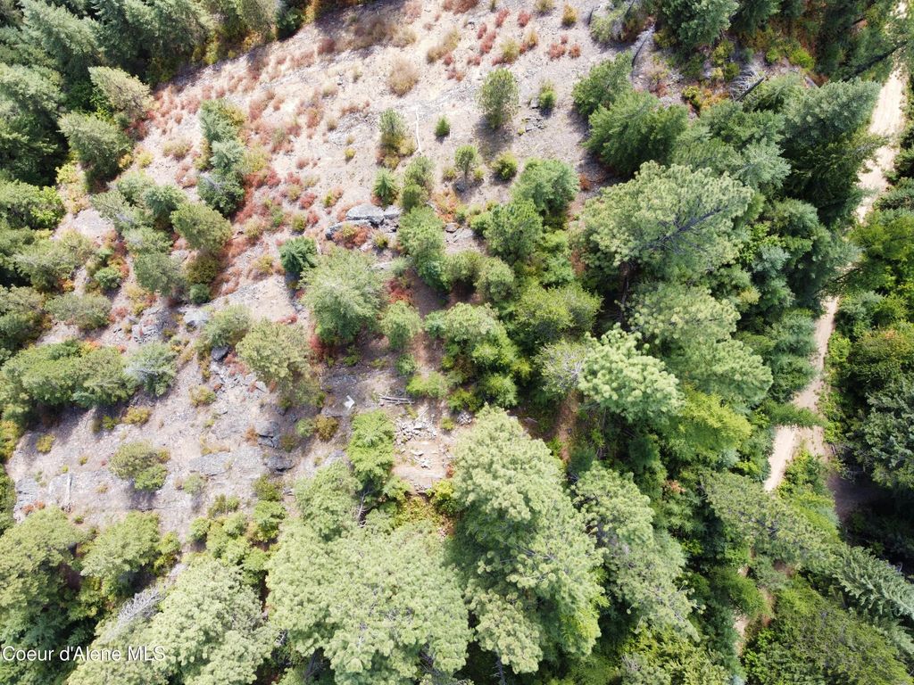 Photo of 1425 Upriver View View, Fernwood, ID 83830 (MLS # 26-4198)
