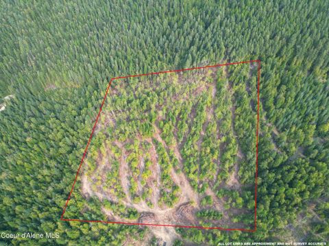 Vacant Land For Sale - NKA Quartz Crk Crk<br/> Priest River, ID 83856