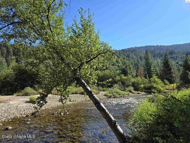 NNA Upper Pack River, Sandpoint, Idaho image 9