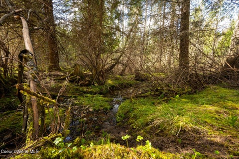Vacant Land For Sale - NKA Evans Creek Creek<br/> Medimont, ID 83842