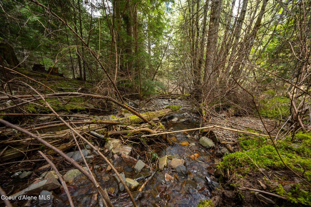 Photo of NKA Evans Creek Creek, Medimont, ID 83842 (MLS # 26-3378)