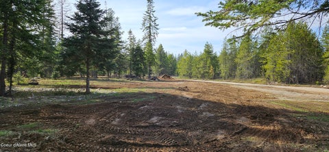 Vacant Land For Sale - 258 Nitty Gritty Ln<br/> Priest River, ID 83856