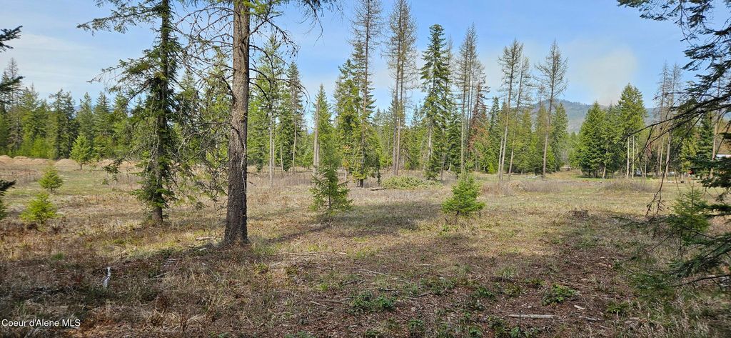 Photo of 258 Nitty Gritty Ln, Priest River, ID 83856 (MLS # 26-3397)