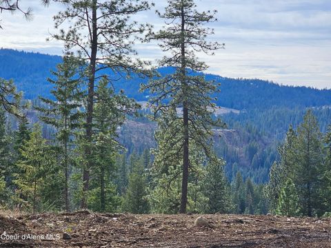 Vacant Land For Sale - 2252 Badger<br/> Harrison, ID 83833