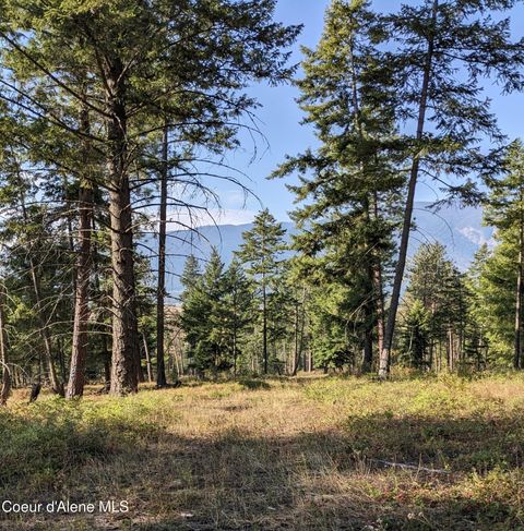 Vacant Land For Sale - NNA 10 AC. New Chisholm<br/> Boundary County, Bonners Ferry, ID 83805