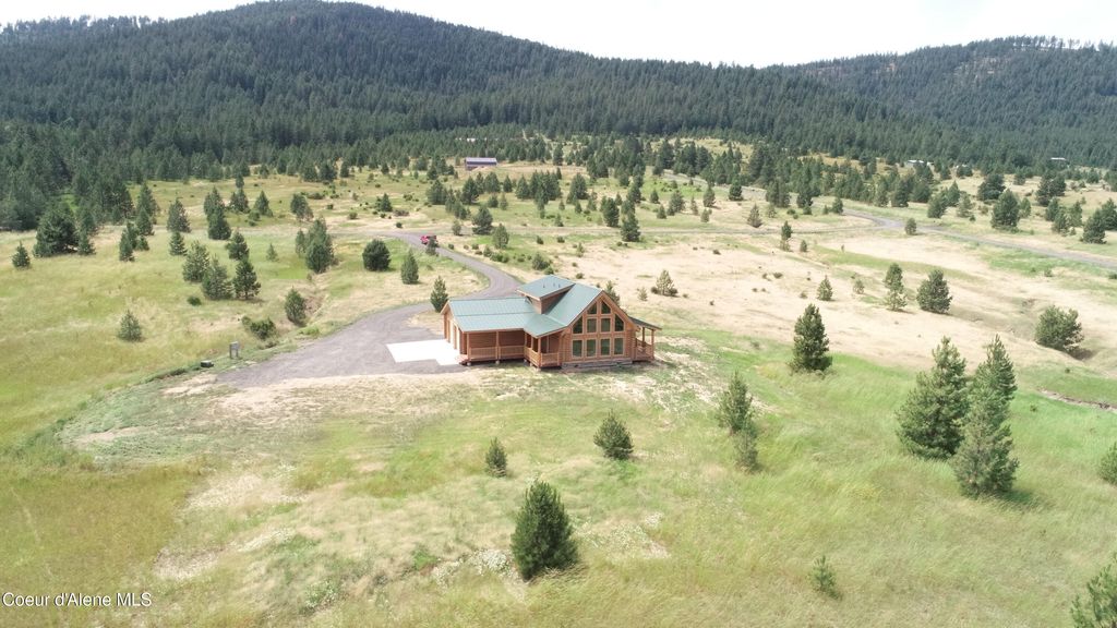 Photo of 293 VINE MAPLE, Desmet, ID 83824 (MLS # 25-6661)