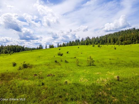 Vacant Land For Sale - 15809 Scribner Branch Branch<br/> Spokane County, Spokane, WA 99217