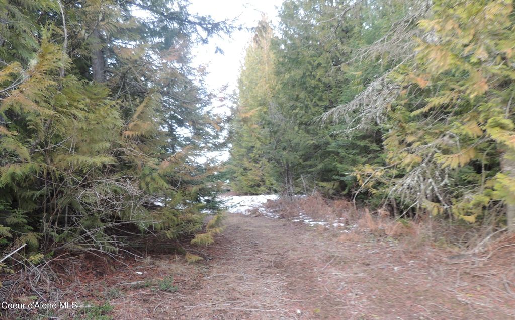 Photo of 0 Balsam, St. Maries, ID 83861 (MLS # 26-3013)