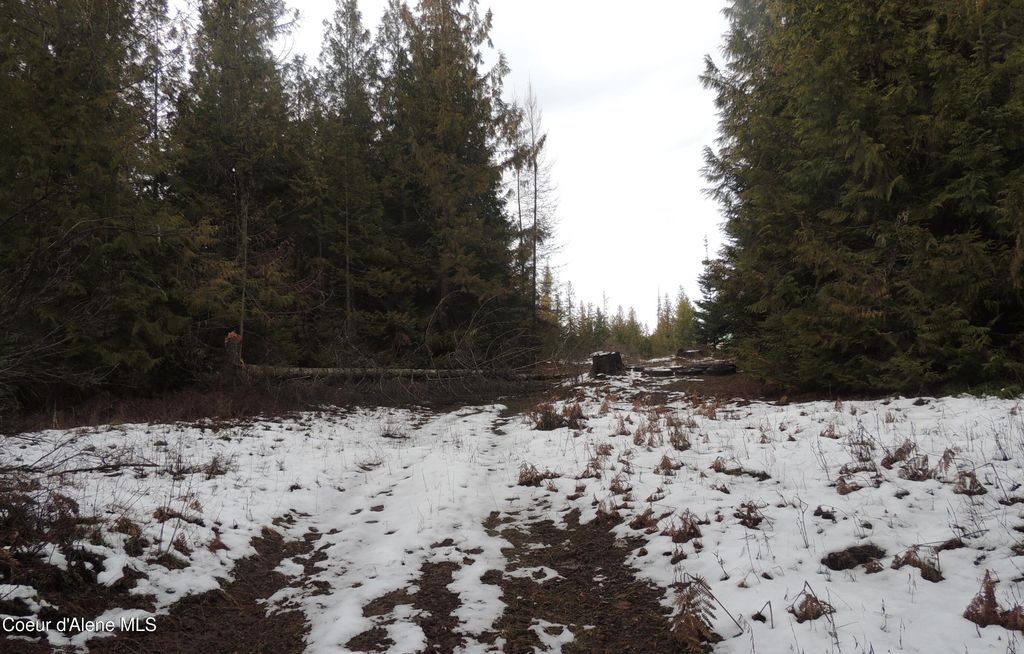Photo of 0 Balsam, St. Maries, ID 83861 (MLS # 26-3013)