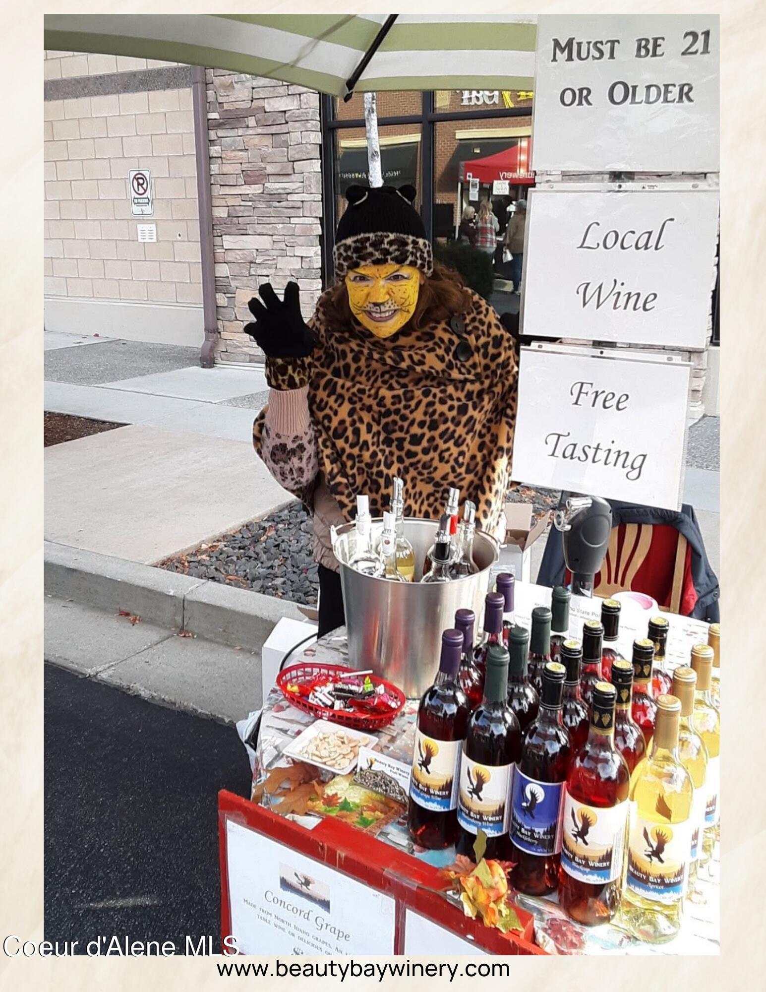 Harrison, Idaho 83833, United States, ,Commercial,Active,163801