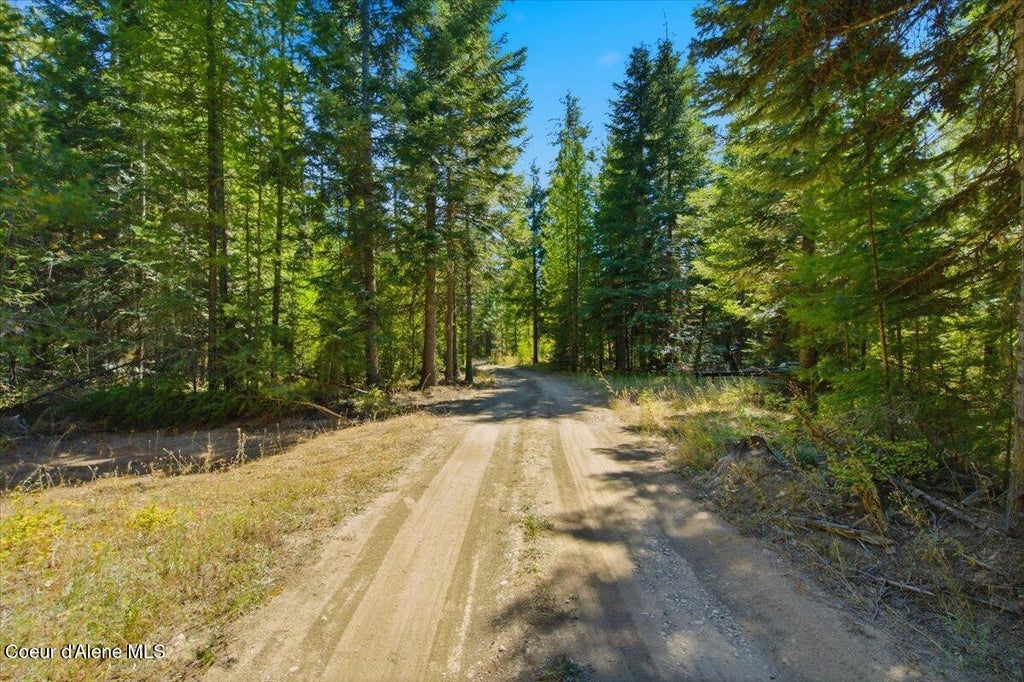 Photo of 223 Angelina WAY, Priest River, ID 83856 (MLS # 26-8923)