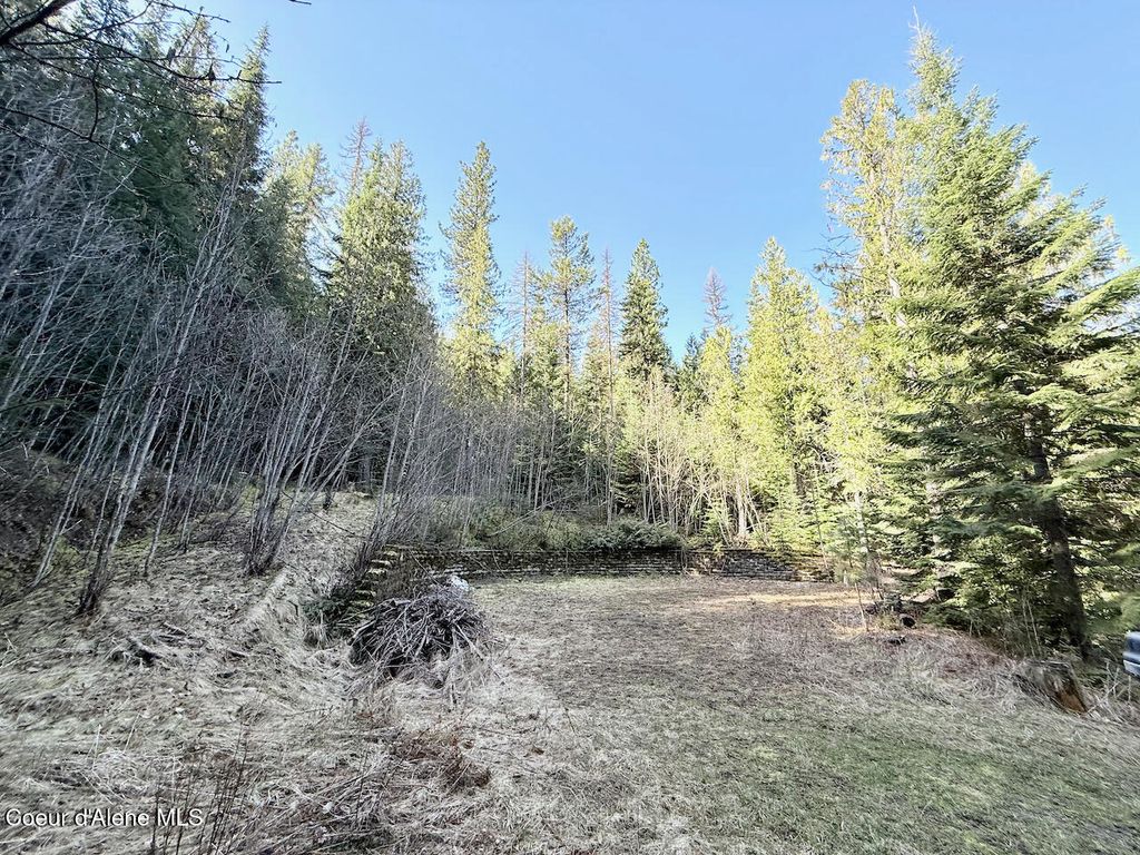 Photo of 498 Revenue Gulch, Silverton, ID 83867 (MLS # 26-4117)