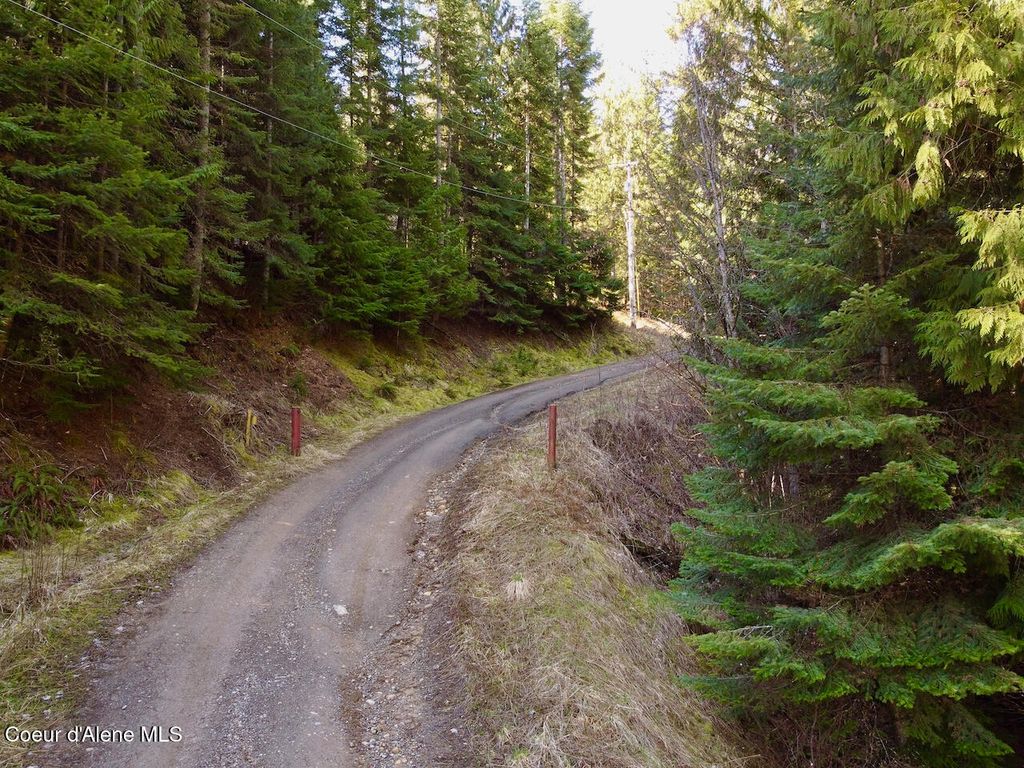 Photo of 498 Revenue Gulch, Silverton, ID 83867 (MLS # 26-4117)