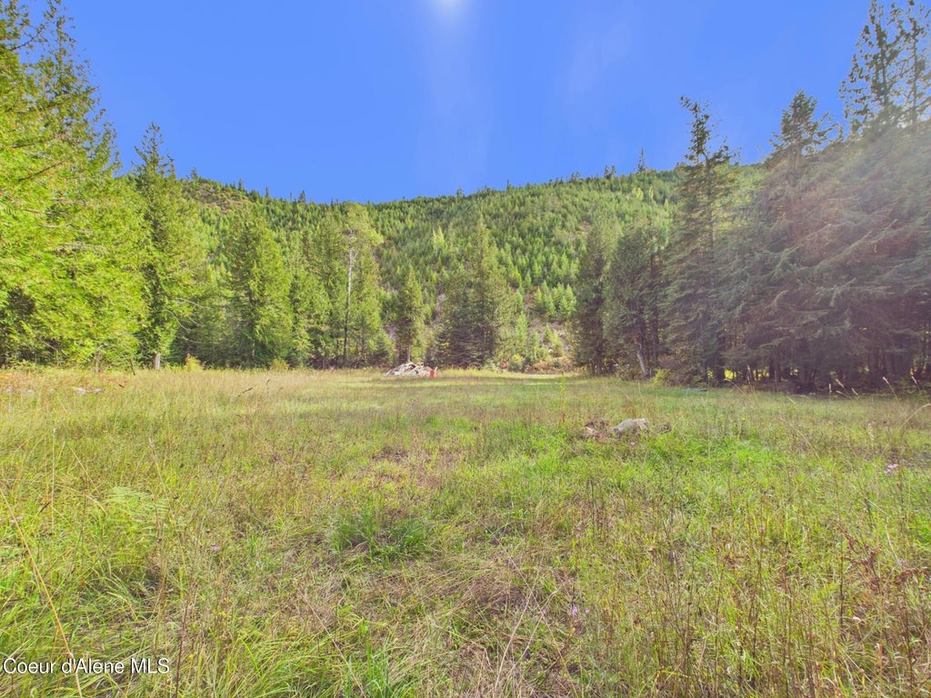 Photo of 3099 Bear Creek Creek, Kingston, ID 83839 (MLS # 26-10056)