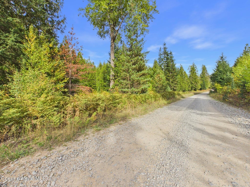 Photo of 3099 Bear Creek Creek, Kingston, ID 83839 (MLS # 26-10056)