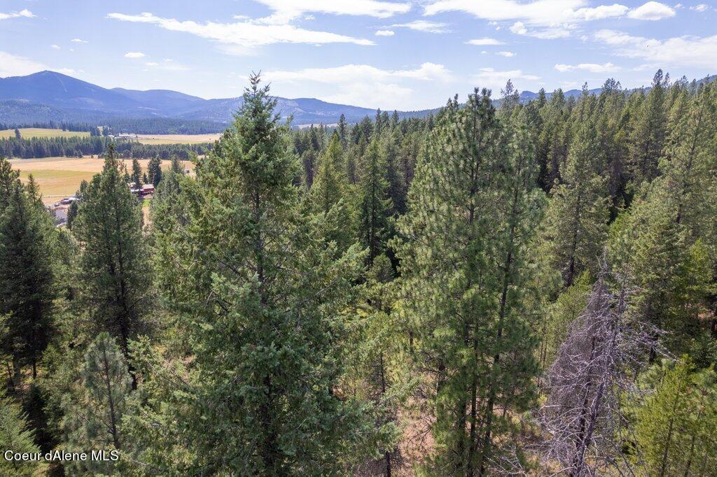 NKA Mountain View Rd, Blanchard, Idaho image 10