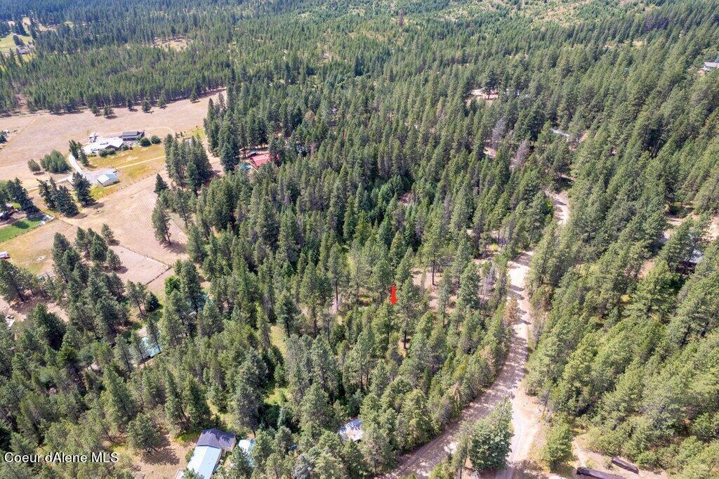 NKA Mountain View Rd, Blanchard, Idaho image 19