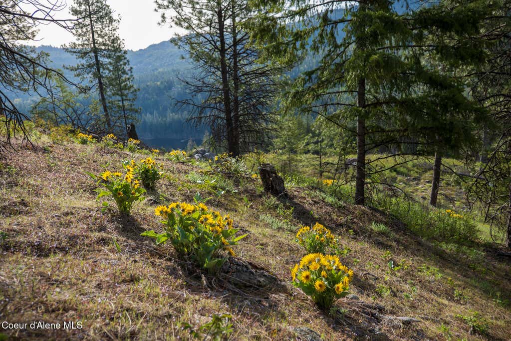 Photo of Lot 1 Dollar Creek Creek, Sagle, ID 83860 (MLS # 26-7445)