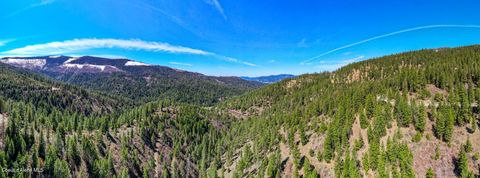Vacant Land For Sale - NNA Canary Creek Creek<br/> Cataldo, ID 83810