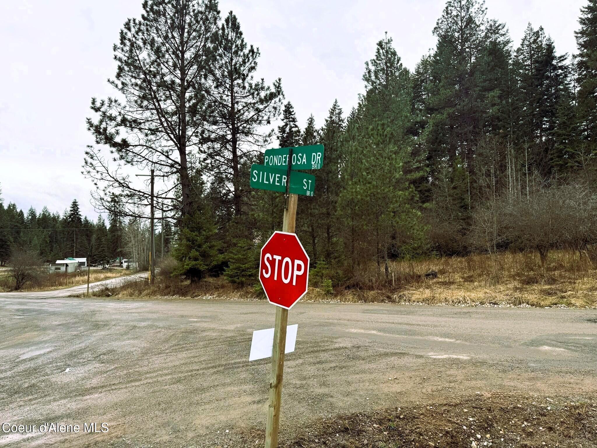 1206 S Ponderosa Dr, Coeur d'Alene, Texas image 16
