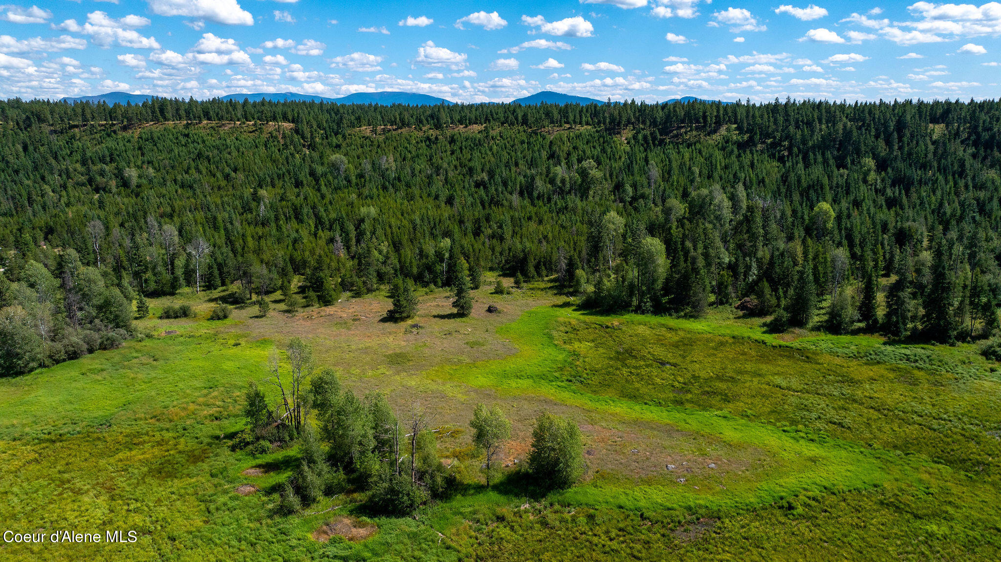 NNA Kelso Lake, Athol, Idaho image 22