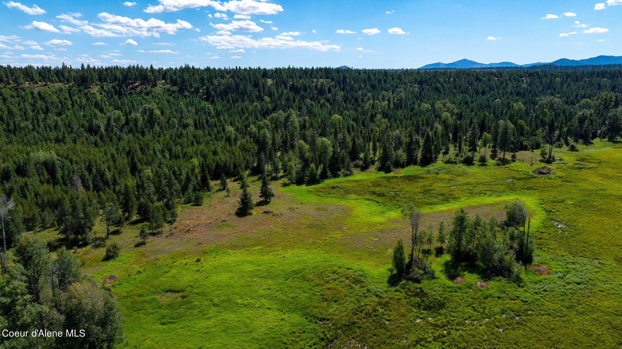 NNA Kelso Lake, Athol, Idaho image 21