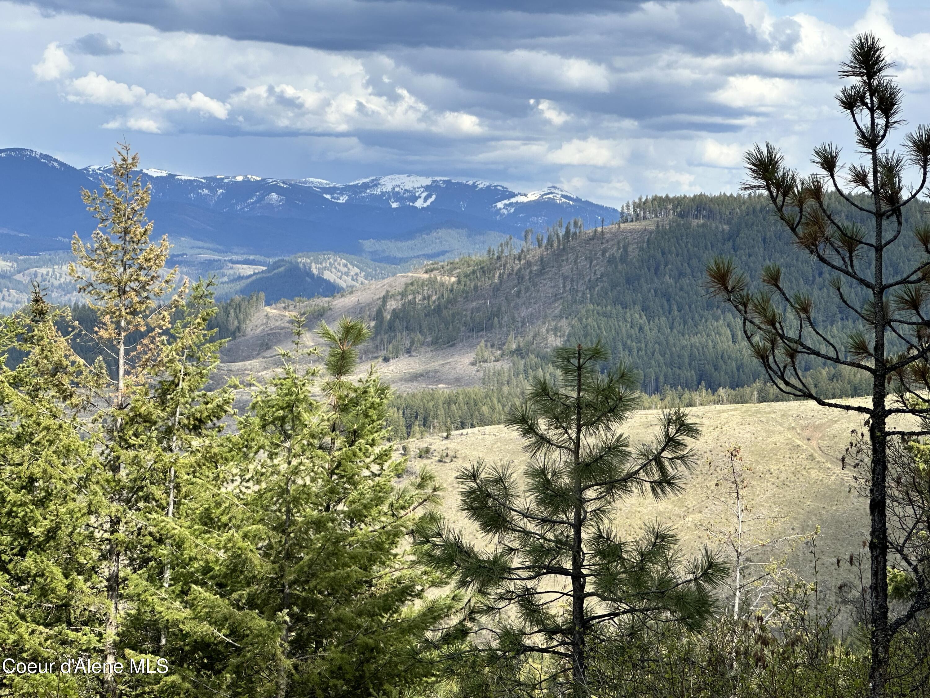NKA 10 Acres, Plummer, Idaho image 4