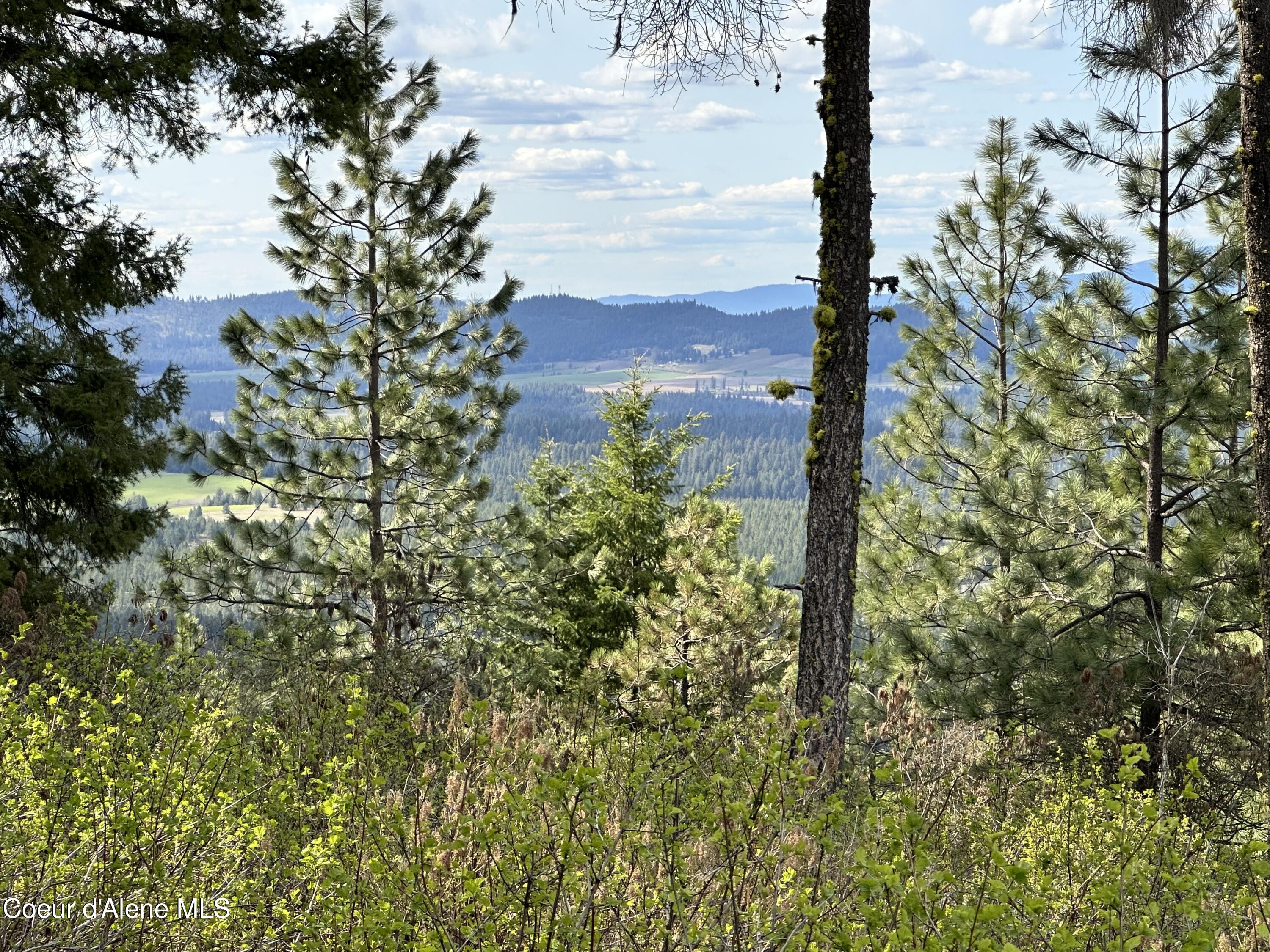 NKA 10 Acres, Plummer, Idaho image 25