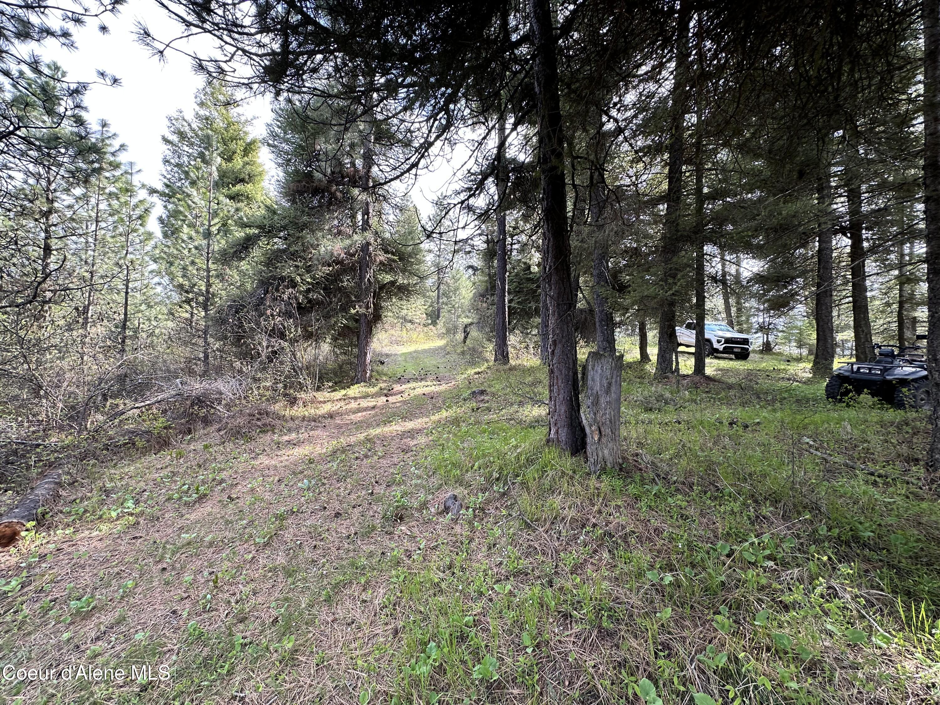 NKA 10 Acres, Plummer, Idaho image 23