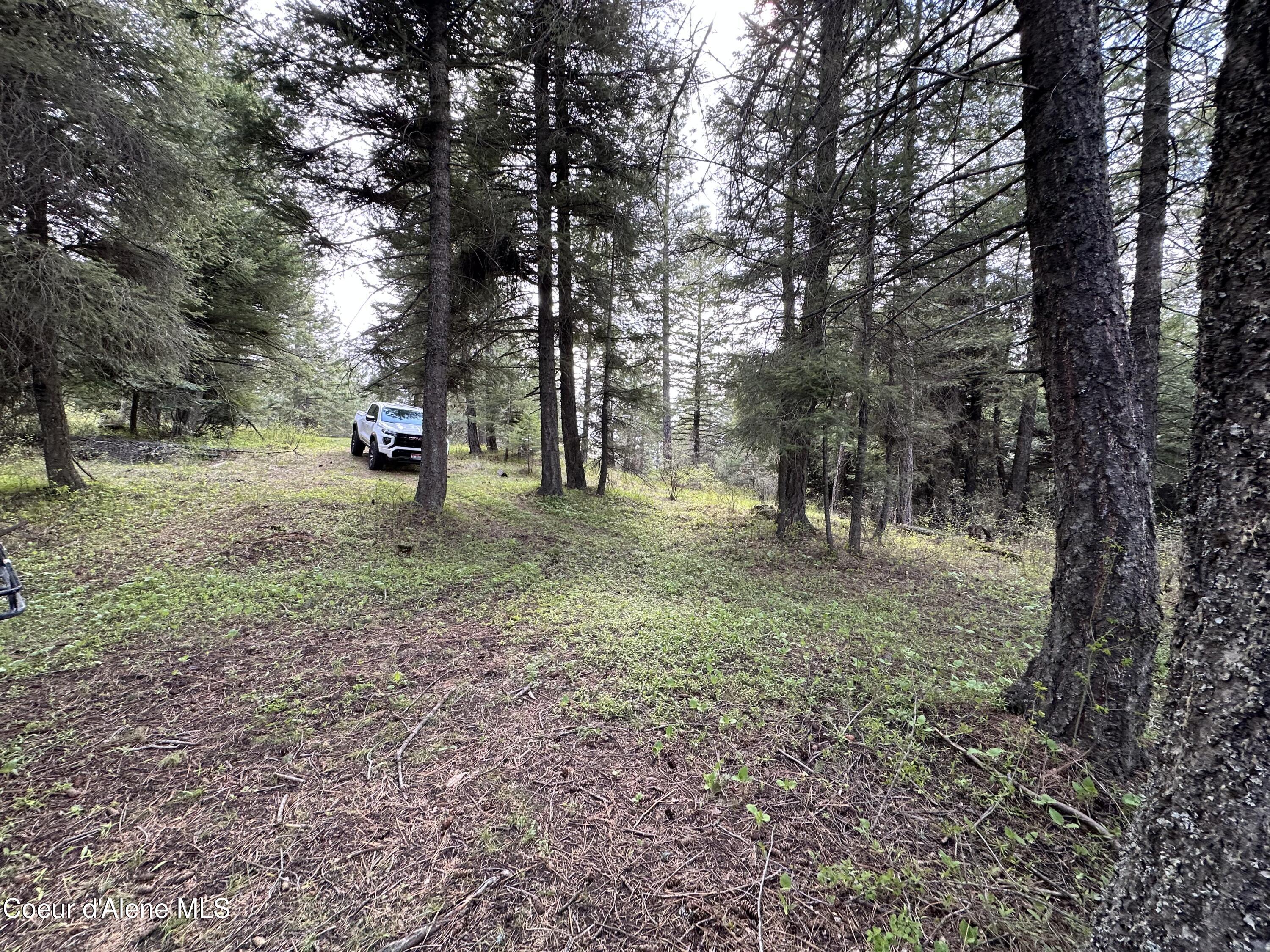 NKA 10 Acres, Plummer, Idaho image 24