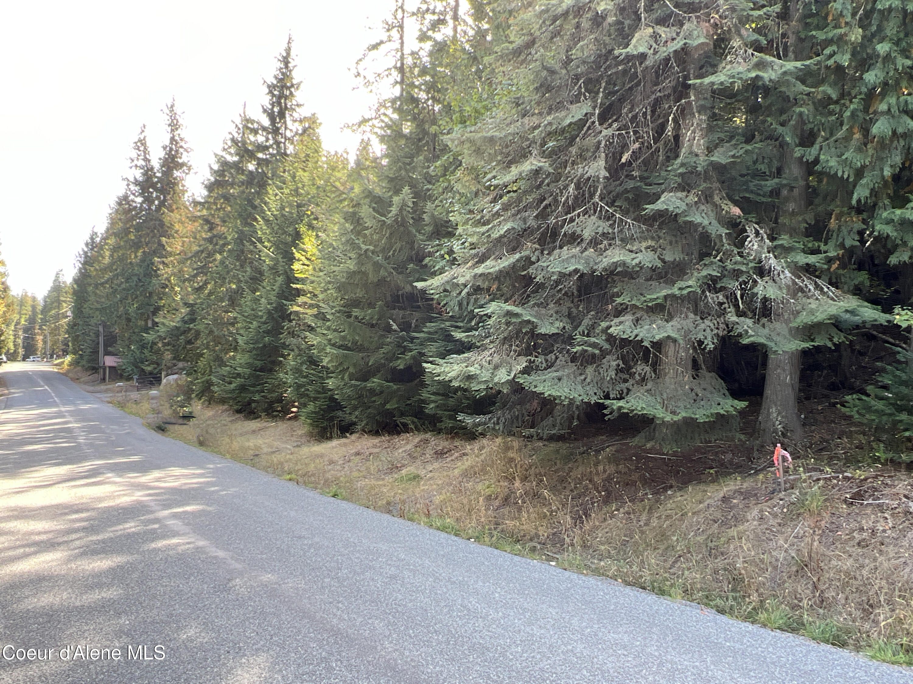 NKA Wooded Acres Dr, Sagle, Idaho image 10