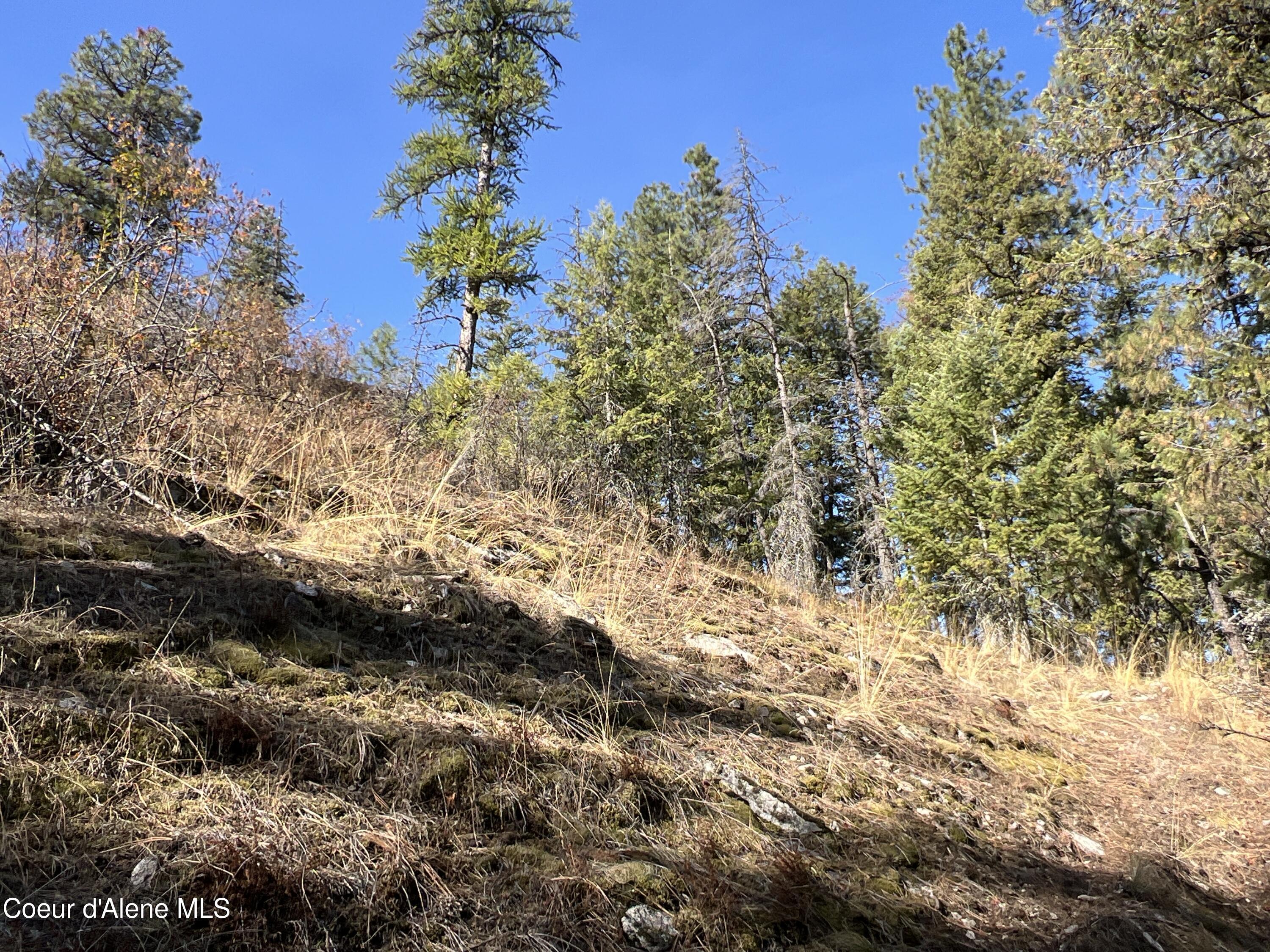 NKA Wooded Acres Dr, Sagle, Idaho image 7