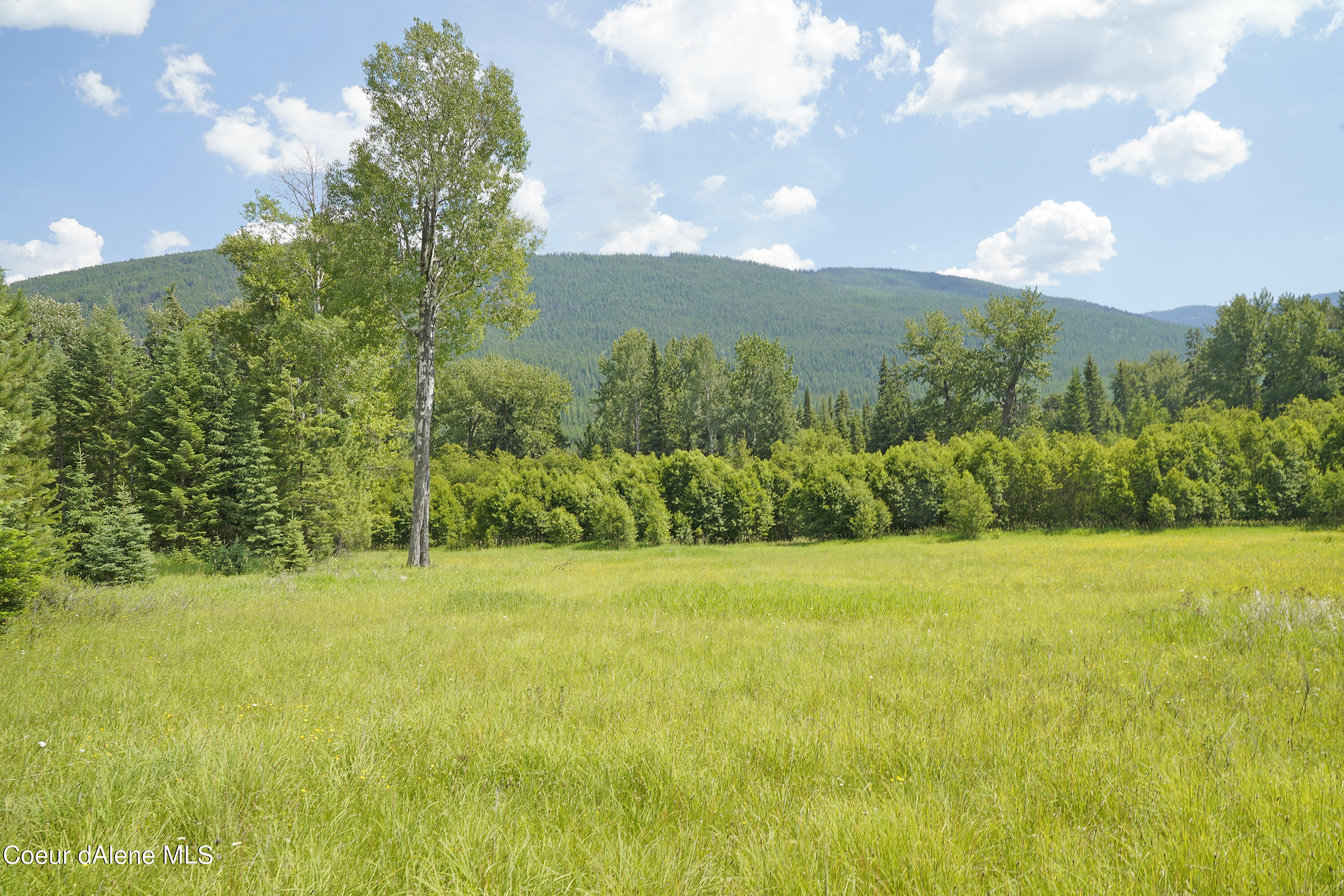 NNA Ross Rd, Bonners Ferry, Idaho image 5