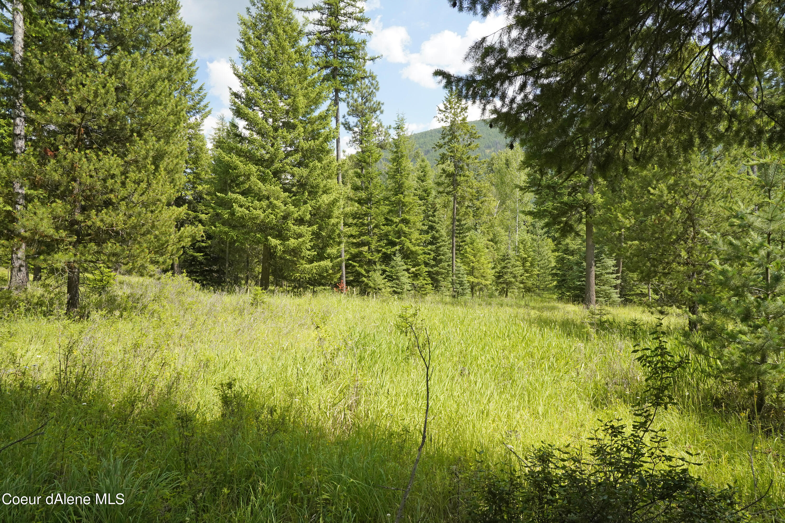 NNA Ross Rd, Bonners Ferry, Idaho image 6