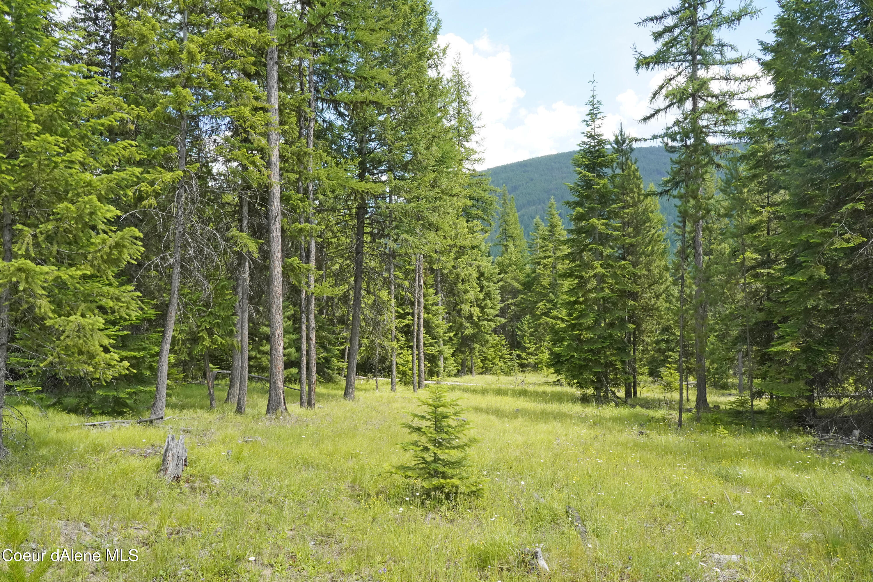 NNA Ross Rd, Bonners Ferry, Idaho image 9