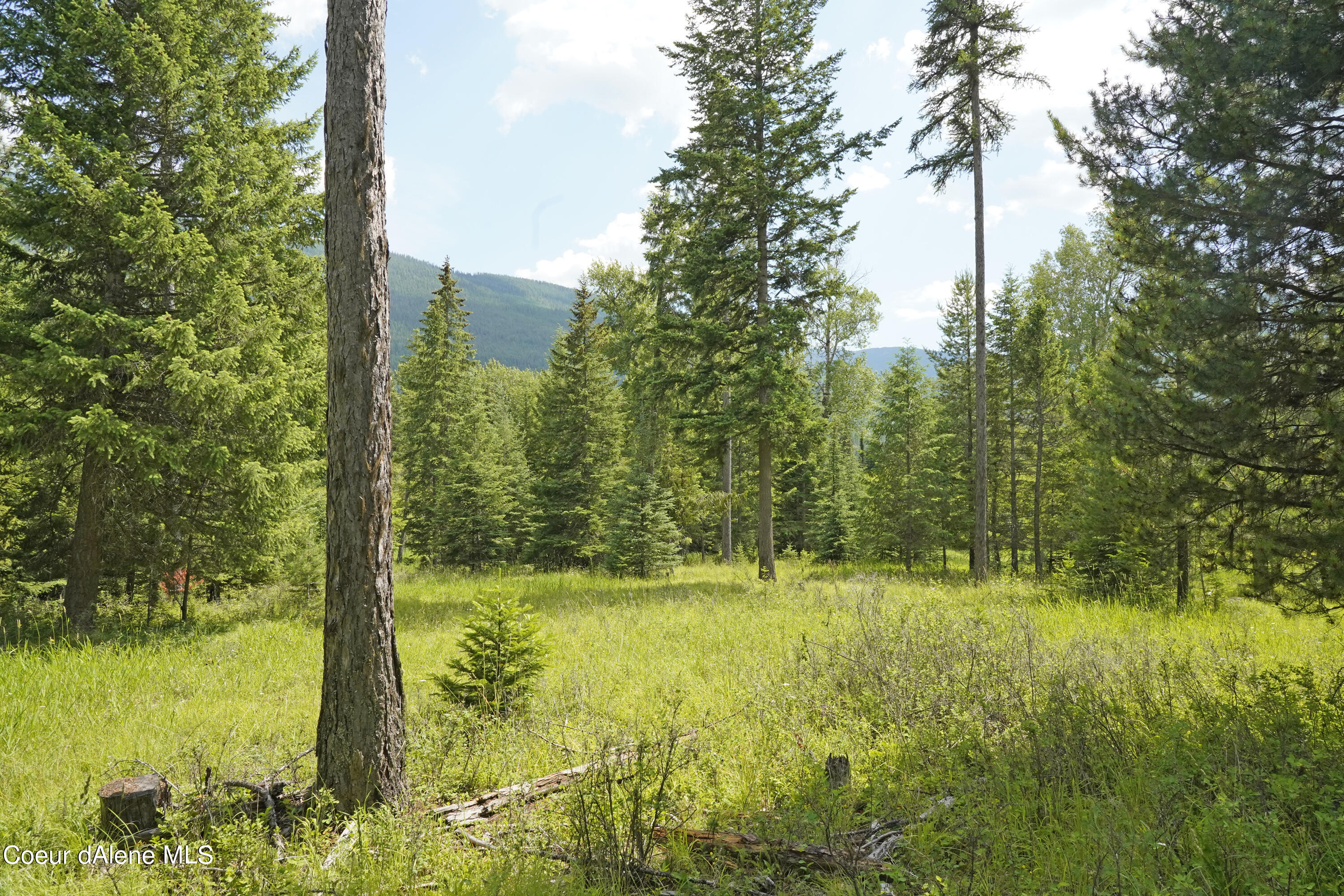 NNA Ross Rd, Bonners Ferry, Idaho image 7