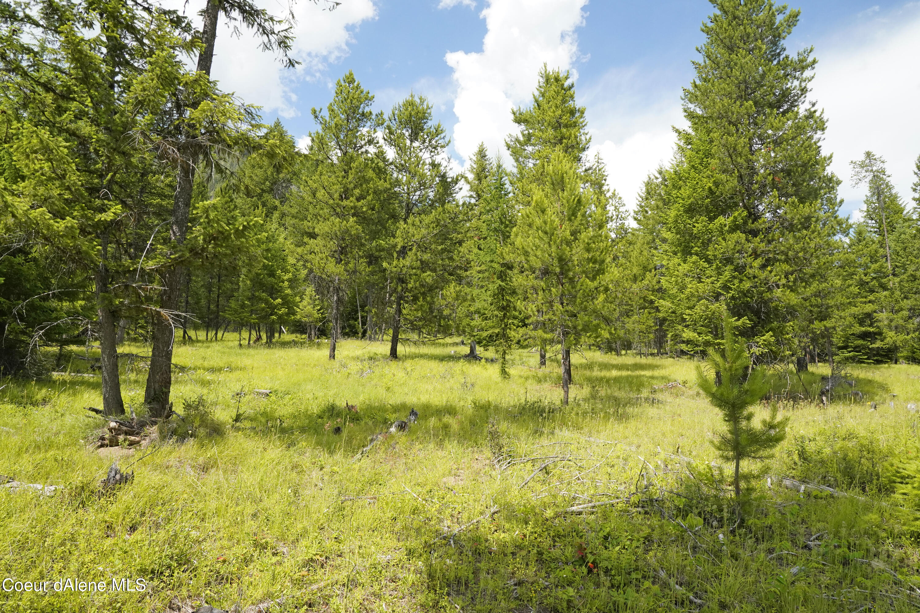 NNA Ross Rd, Bonners Ferry, Idaho image 8