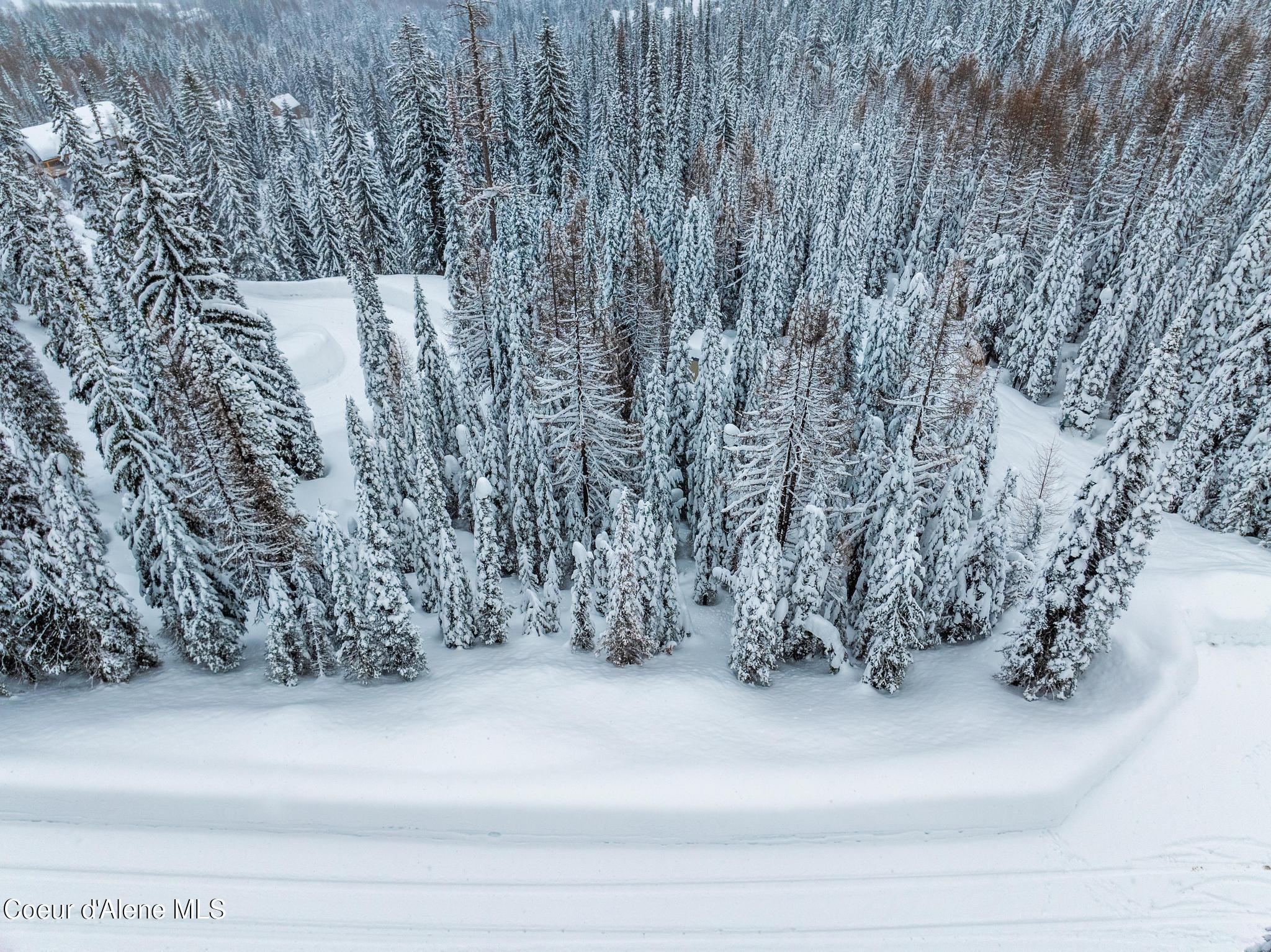 LT 6 BLK 2 Snag Line Road, Sandpoint, Idaho image 4