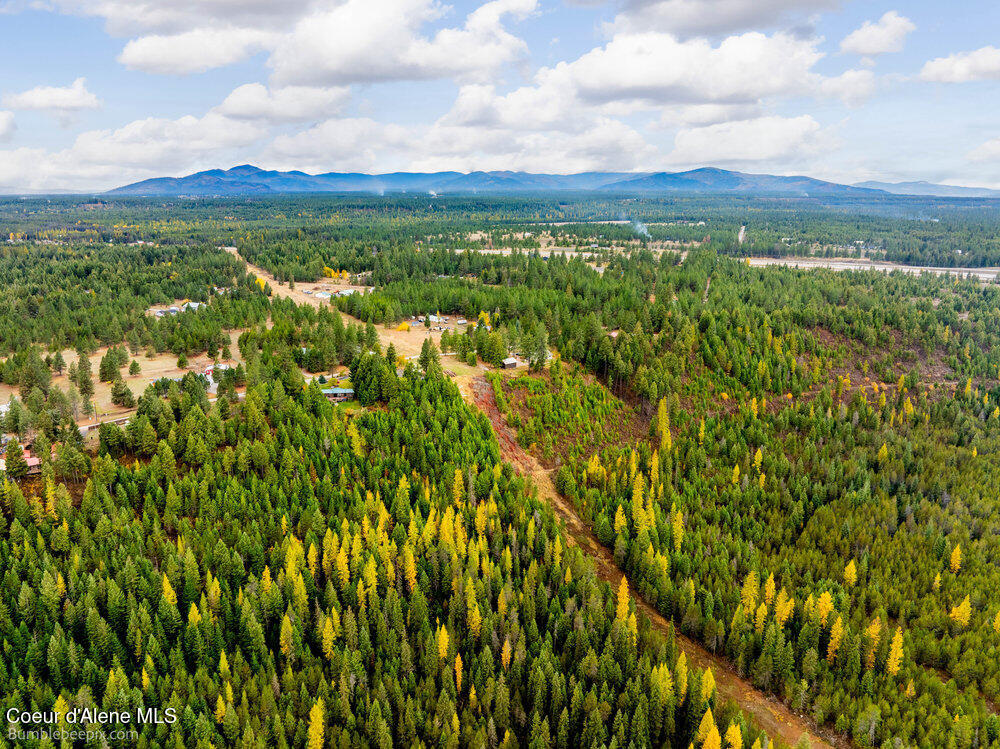 Athol, Idaho 83801, United States, ,Land,Active,234878