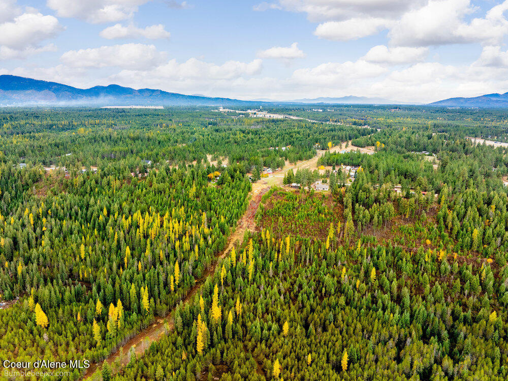 Athol, Idaho 83801, United States, ,Land,Active,234878