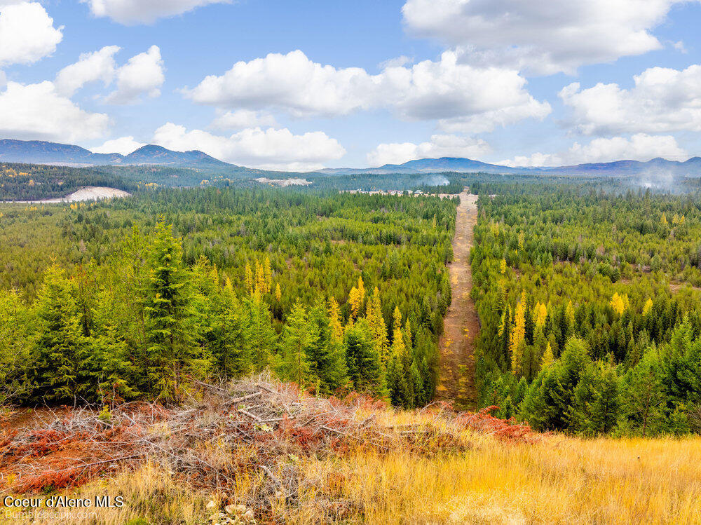 Athol, Idaho 83801, United States, ,Land,Active,234878