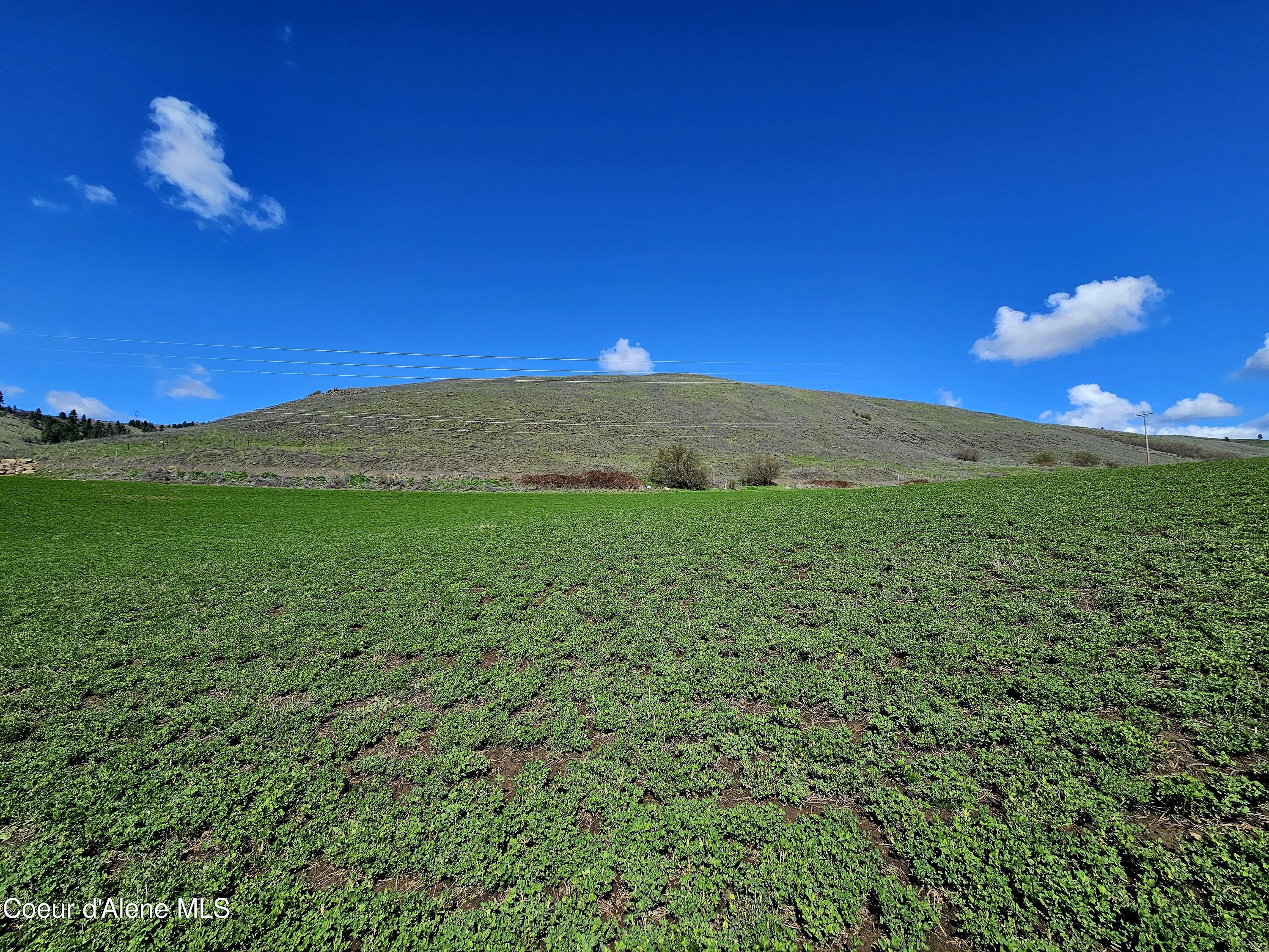 TBD Lot 4 Sunnyside Ranch, Lenore, Idaho image 7