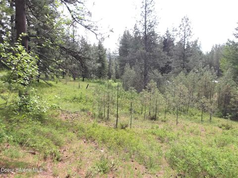 NNA DazyDuck Ct Rathdrum ID 83858