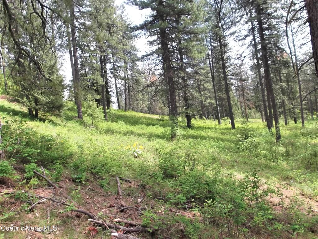 Photo of NNA DazyDuck Ct Ct, Rathdrum, ID 83858 (MLS # 26-3985)