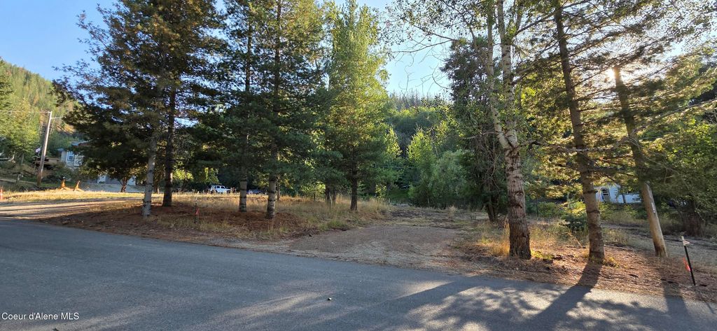 Photo of 924 Lower Page, Smelterville, ID 83868 (MLS # 25-9807)