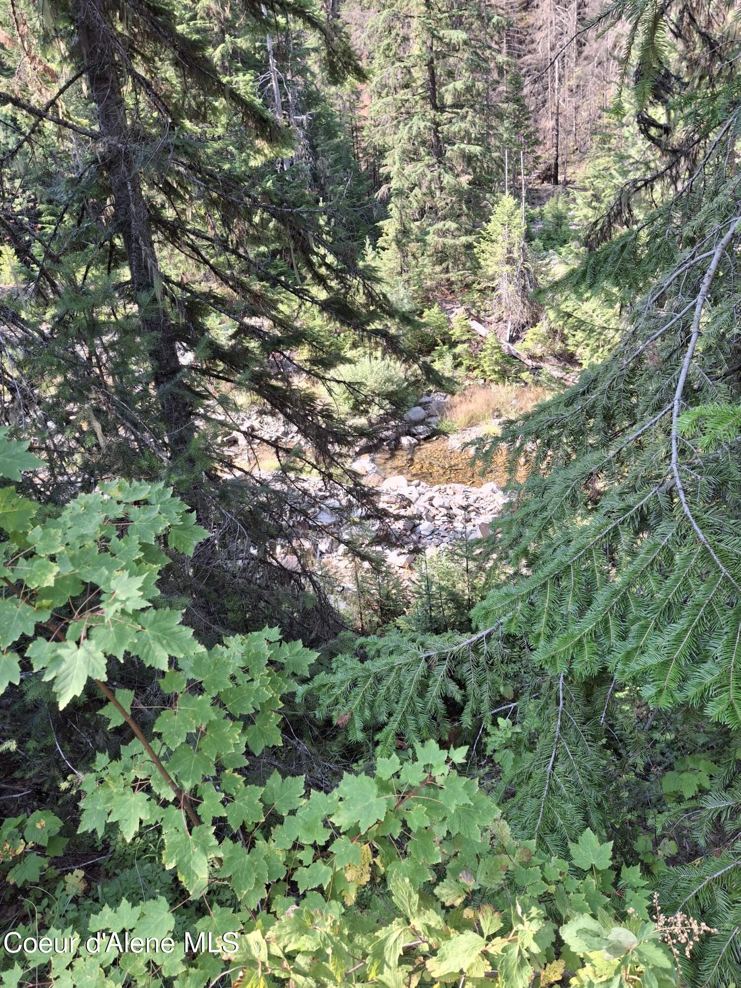 NKA Eagle Mining District, Murray, Idaho image 3