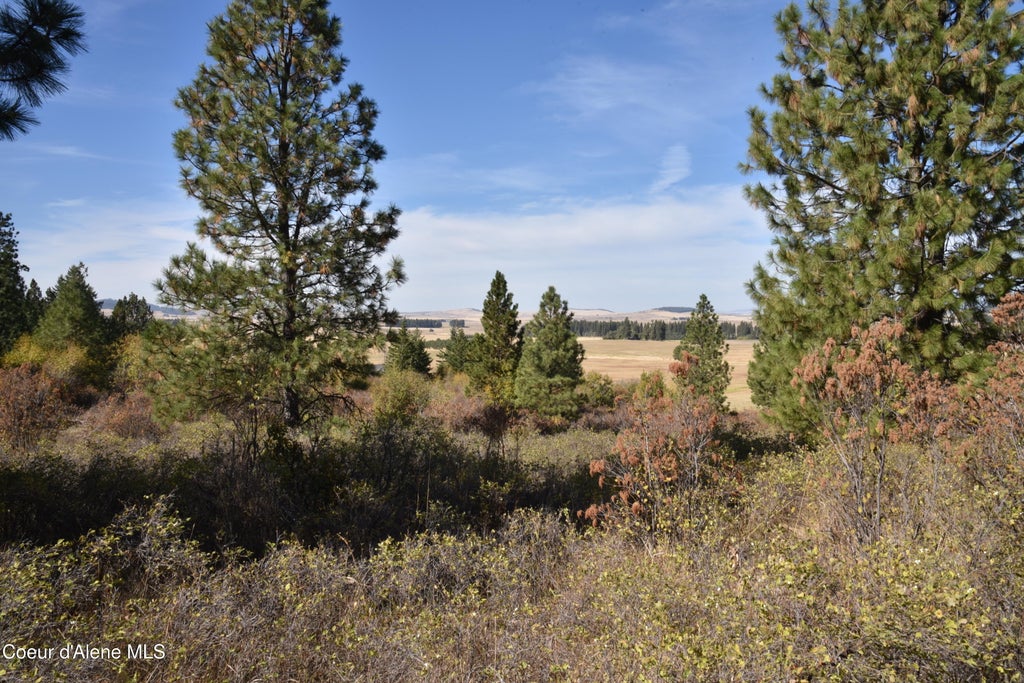Photo of 263 Cobblestone, Plummer, ID 83851 (MLS # 26-10306)
