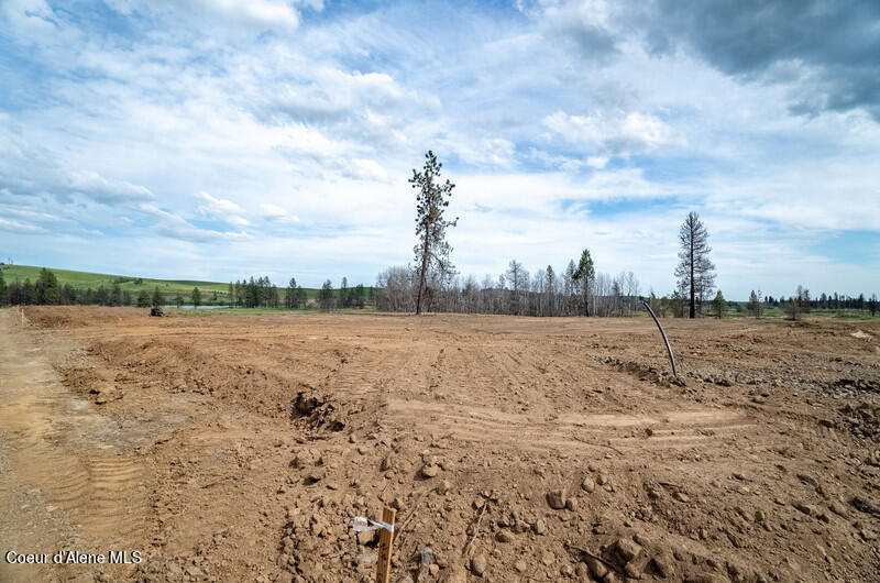 NKA Duck Pond Lot 5 Ln, Medical Lake, Washington image 6