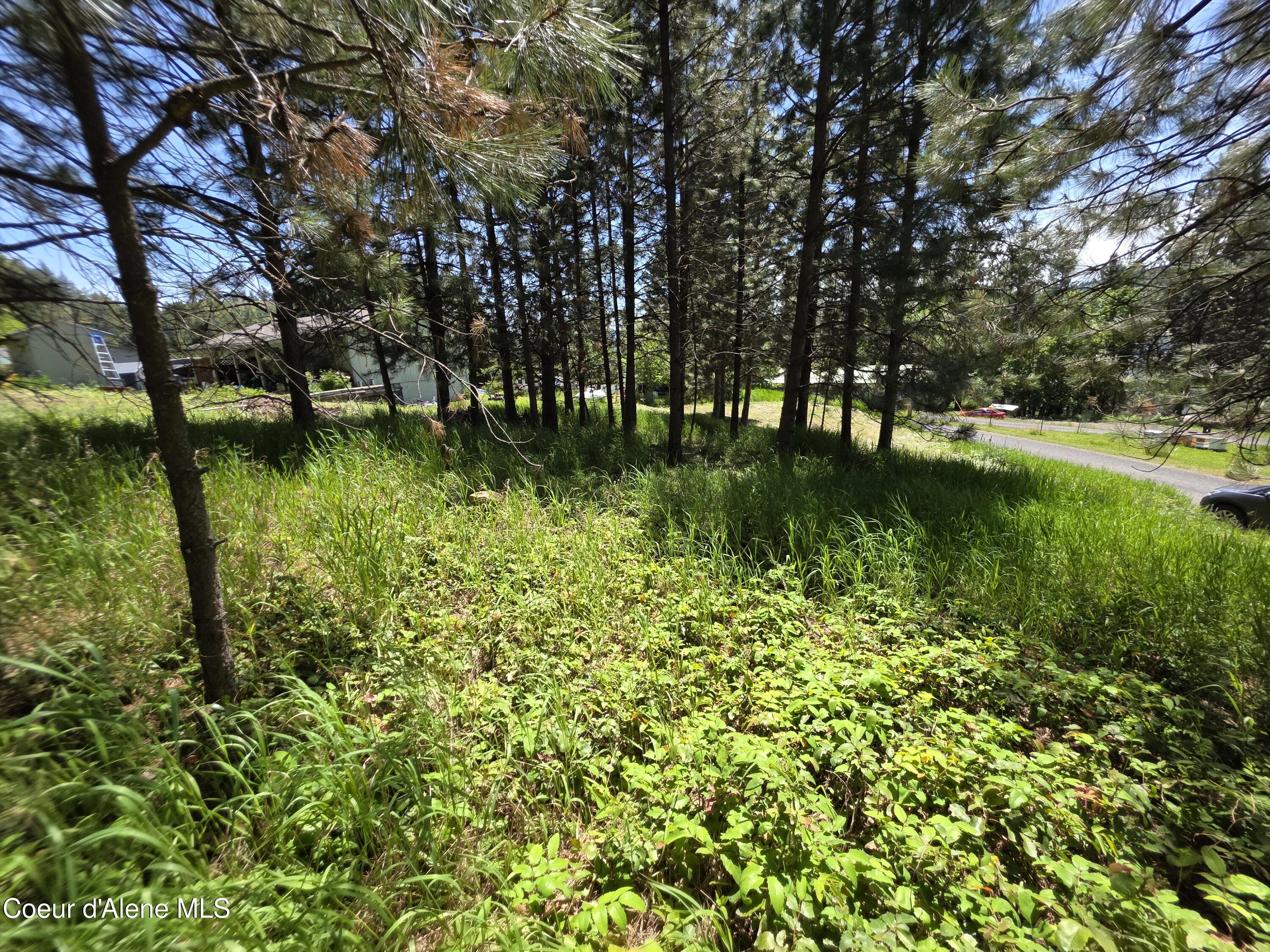 KNA Westview Dr, Harrison, Alaska image 13